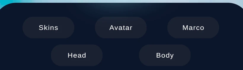 The in-game customisation tabs: Skins, Avatar, Frame, Head and Body.